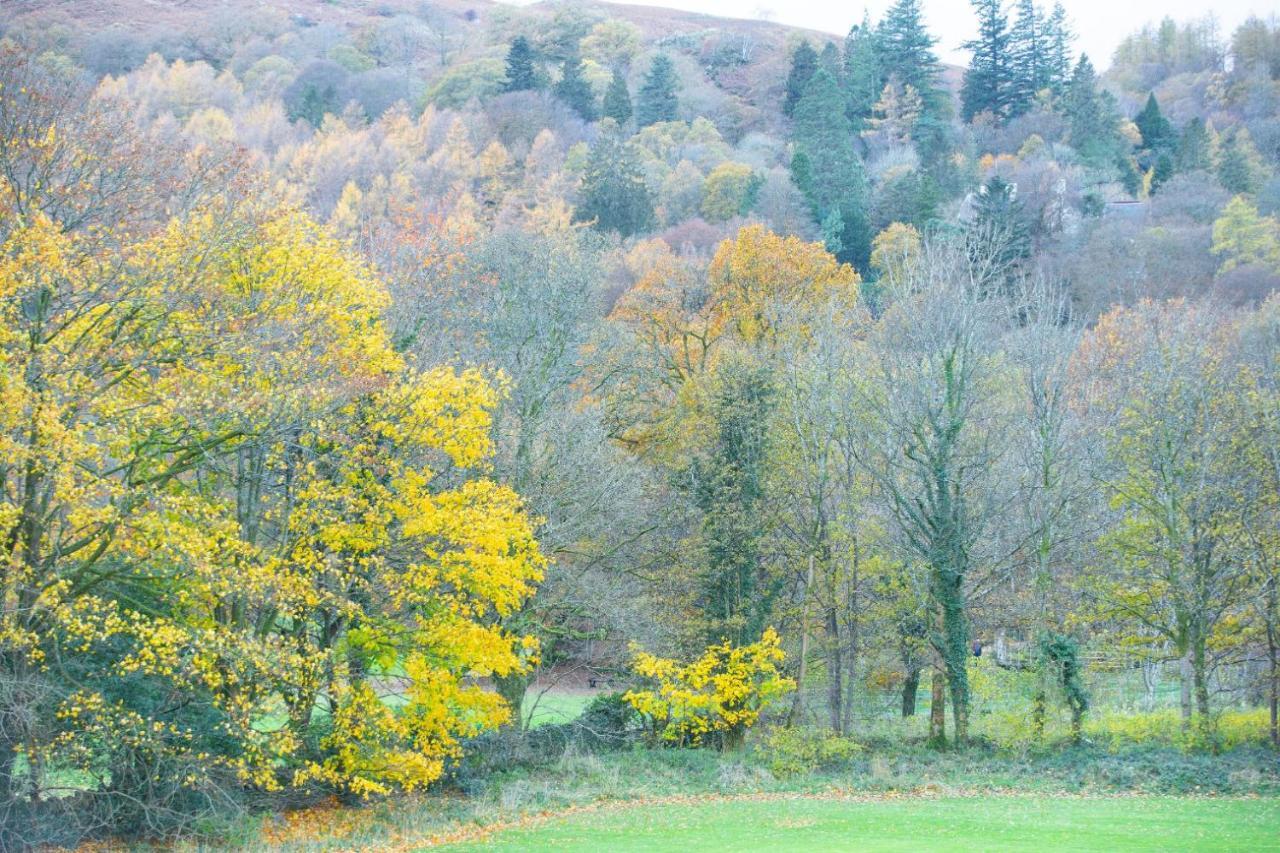 Bed & Breakfast Brantholme Ambleside